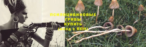 тгк Кукмор