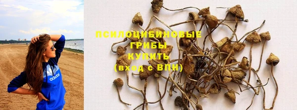 дурь Кулебаки